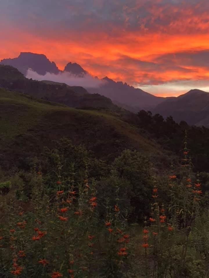 Misty Peaks Cloudlands Villa Bergview Luaran gambar